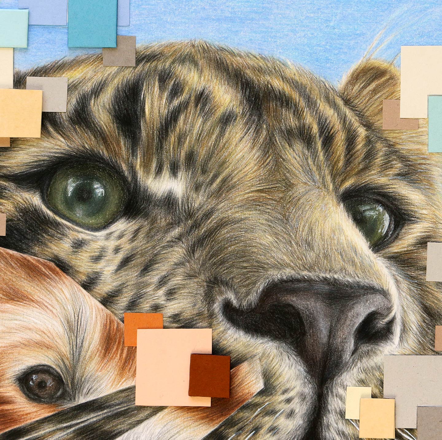 closeup of leopard eyes, nose and whisker details with red panda eye collaged into left side of face