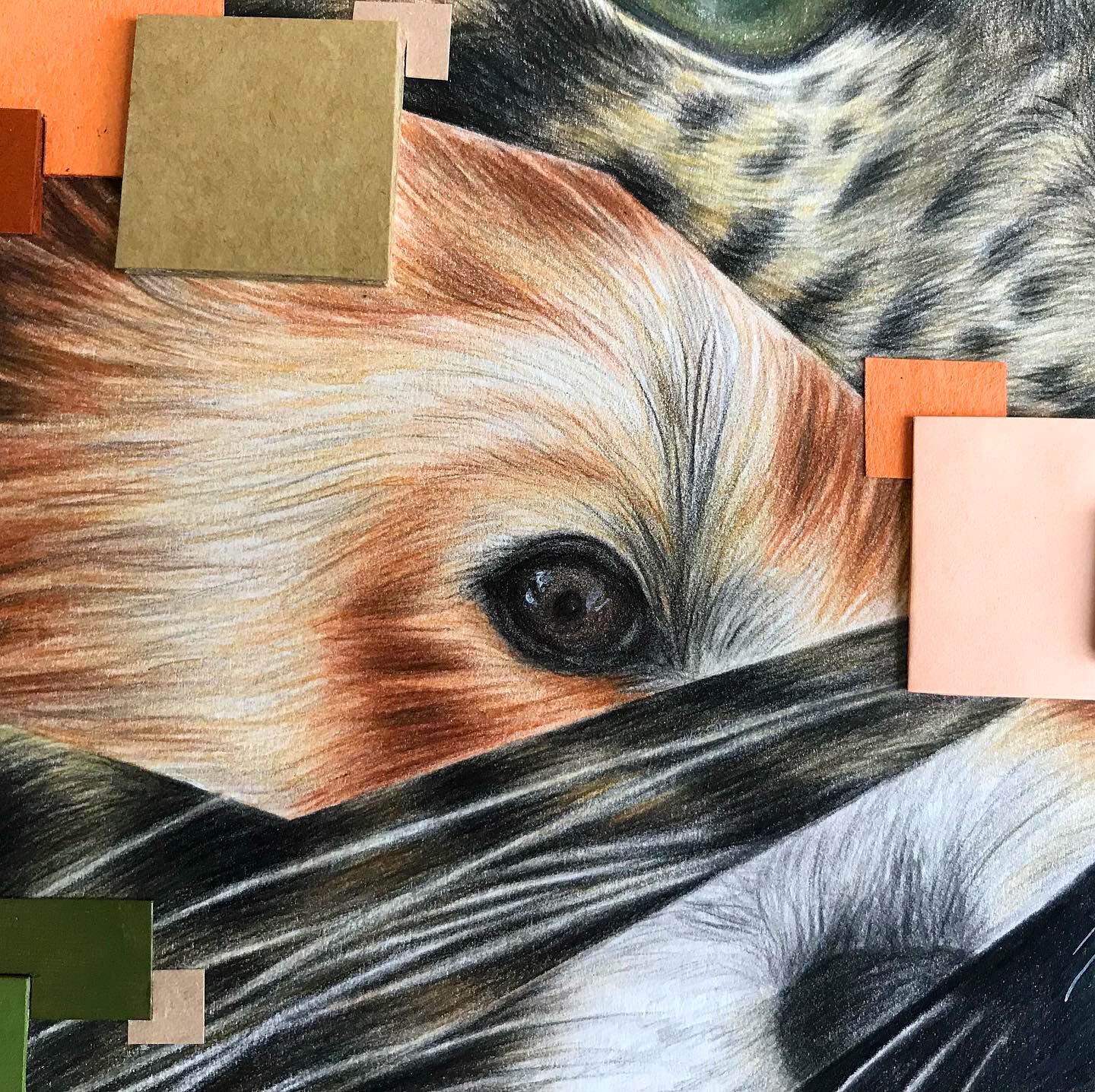 Red panda face details and matching orange pixels