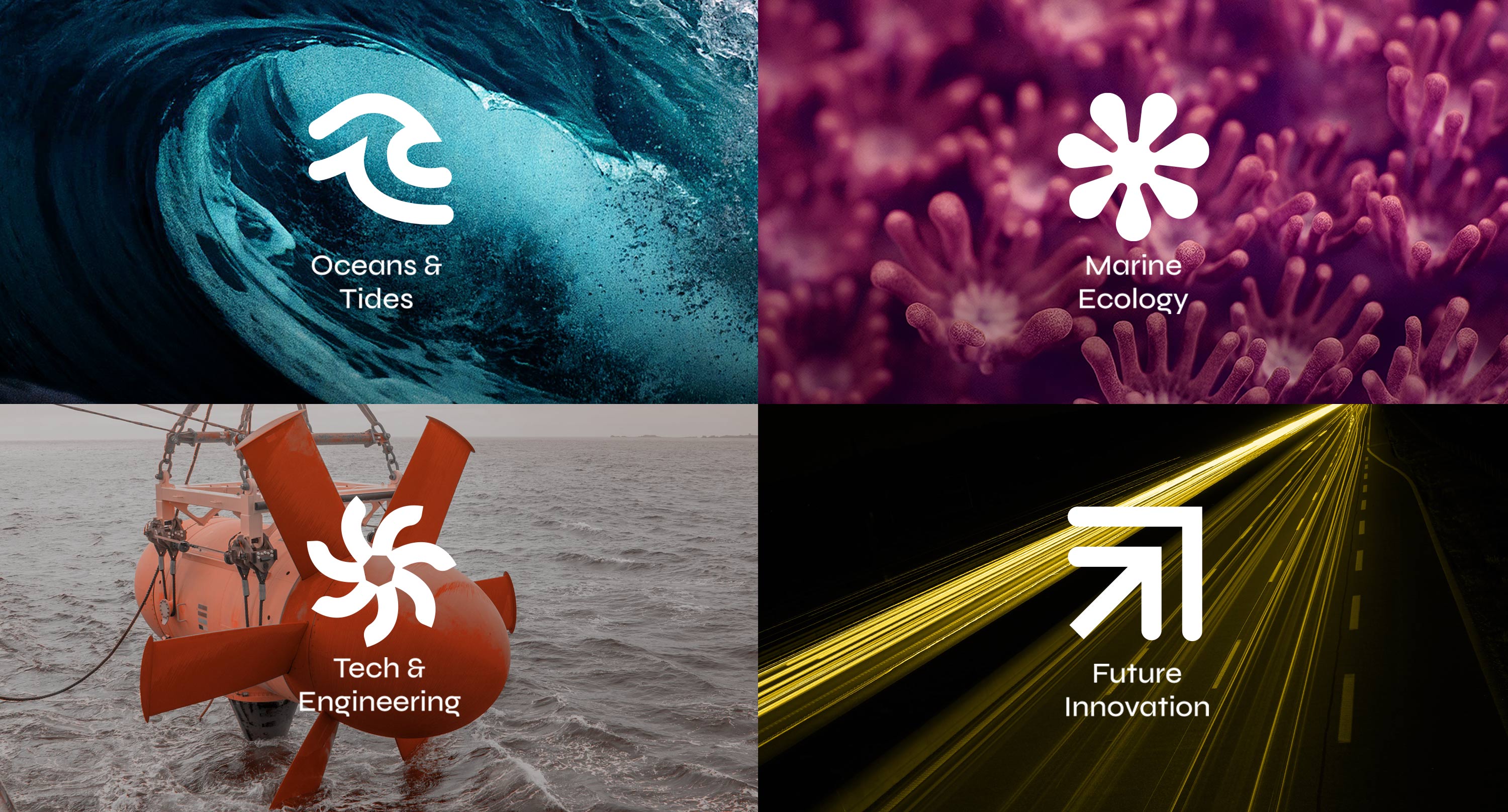 four core aspects of Soak Up- oceans, marine biology, technology & enginering and future innovation